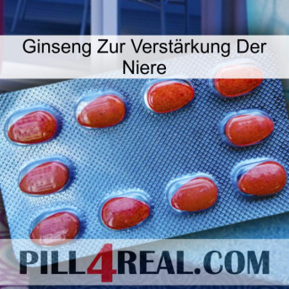 Ginseng Zur Verstärkung Der Niere 06